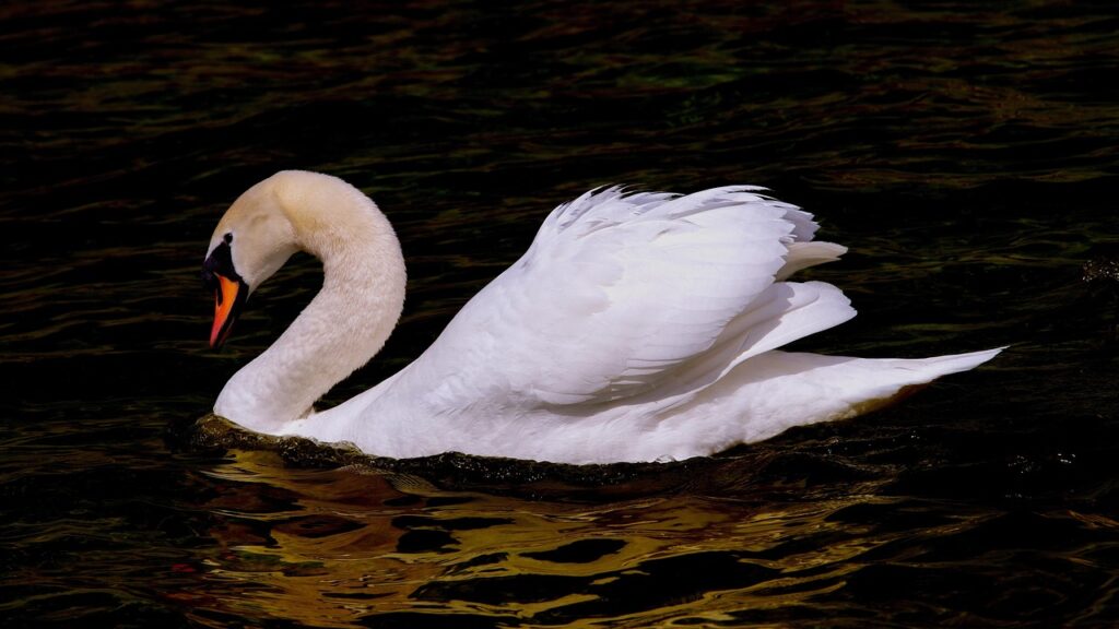 婚活サービスの相談はどこで受けるべき？